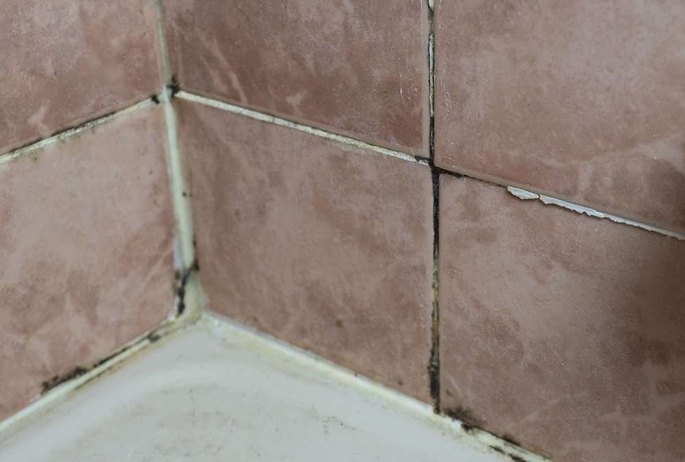 Effective Strategies for Removing Mildew and Mold from Shower Surfaces